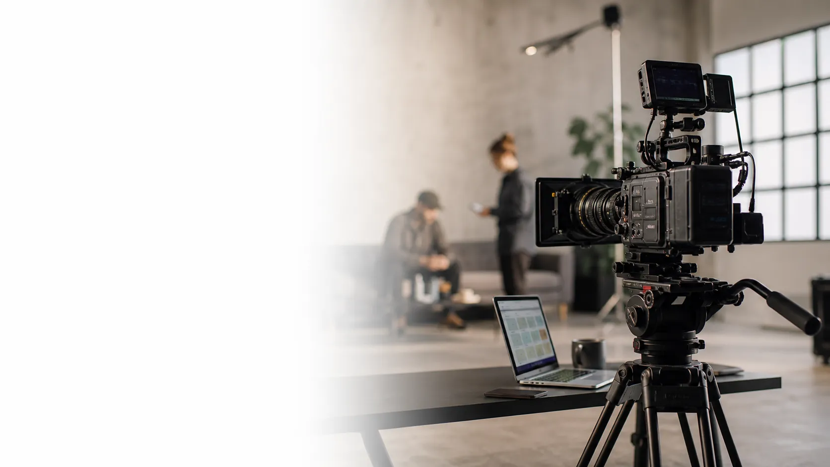 Creator Management und Talententwicklung